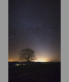 Un arbre  sous la lumire zodiacale