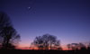 The Moon and Venus above a pink horizon