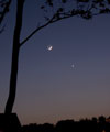 La Lune et Vnus sous les arbres