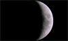 Lune âgée de 5 jours