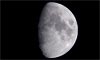 Lune âgée de 9 jours