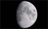 Lune âgée de 10 jours