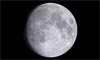 Lune âgée de 12 jours