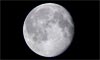 Lune âgée de 17 jours