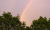 Evening rainbow: left foot
