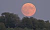 Pleine Lune de Juillet au raz de l'horizon