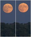 Full Moon or Full Môôn