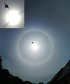 Sun halo and insect