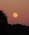 Une Pleine Lune de novembre