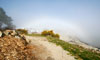 Fogbow above the sea