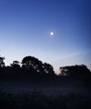 Noctilucent clouds