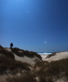 The dunes under the Moonlight