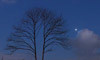 Venus at its closest to the Pleiades