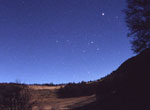 Leonids