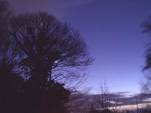 Venus in Capricornus