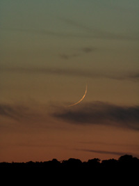 29 hours old Crescent Moon