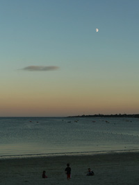 Cliquez pour agrandir l'image
Click to enlarge
768 x 1024 pixels (126 ko)
