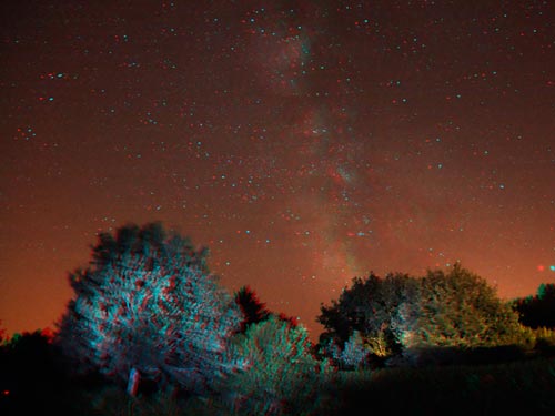 Quelques arbres sous les toiles en 3D