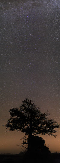 Click to enlarge
800 x 2181 pixels (470 kB)