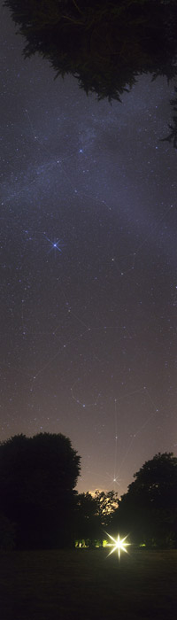 Cliquez pour agrandir l'image
Click to enlarge
800 x 2800 pixels (503 ko)