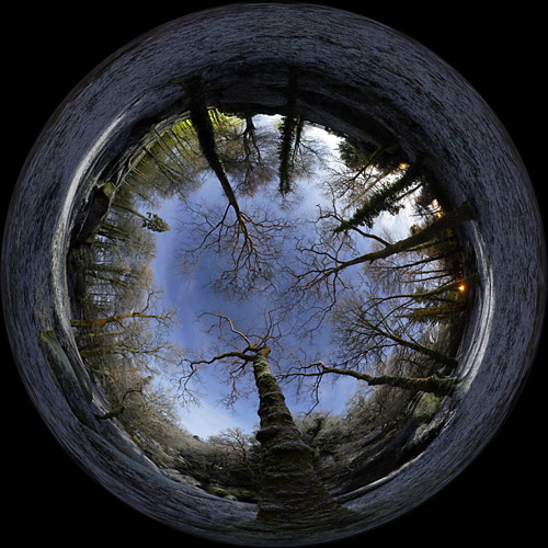 Click to enlarge
1280 x 1280 pixels (632 ko)
