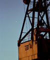 Venus and the crane