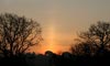 Sun pillar between 2 trees