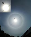 Halo solaire et insecte