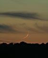 Croissant lunaire âgé de 29 heures