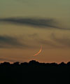 Croissant lunaire g de 29 heures