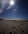 The beach under the moonlight