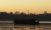 A cormorant on a wreck