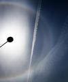 Superb circumscribed halo