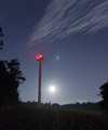 Plantations under the moonlight