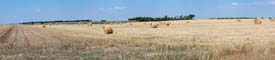 Panorama d'un champ fauché