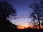 Ambiances nocturnes