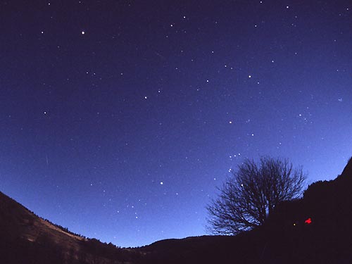 Les pieds d'Orion dans les branches