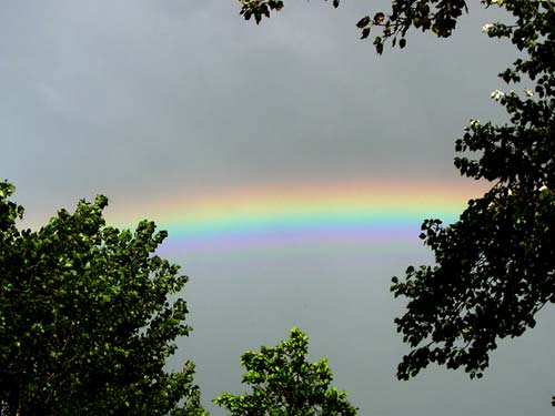 Arc-en-ciel  haut contraste