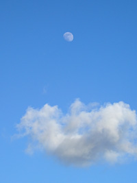 Lune gibbeuse en bleu et gris