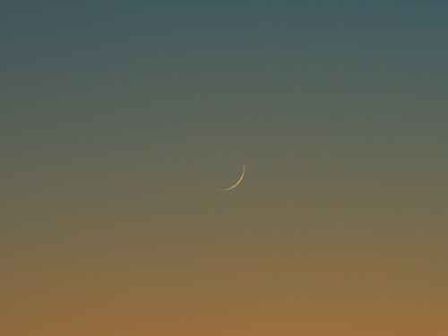 A 27 hours'old Crescent