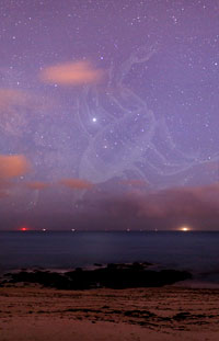 Cliquez pour agrandir l'image
Click to enlarge
1024 x 1593 pixels (316 ko)