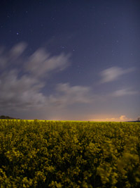 Cliquez pour agrandir l'image
Click to enlarge
768 x 1024 pixels (181 ko)