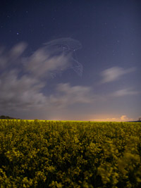 Click to enlarge
768 x 1024 pixels (183 kB)
