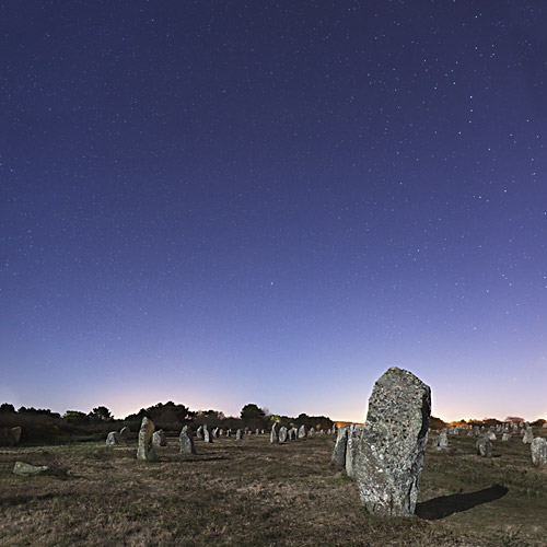 Lyra and Cygnus are rising over Carnac menhirs