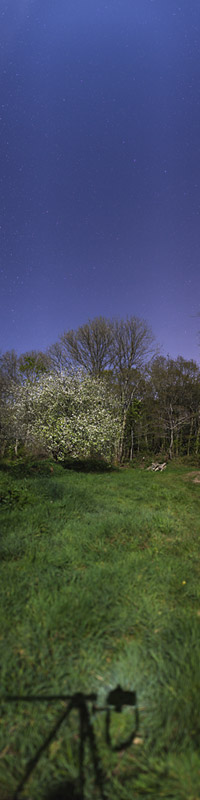 Cliquez pour agrandir l'image
Click to enlarge
600 x 2400 pixels (361 ko)